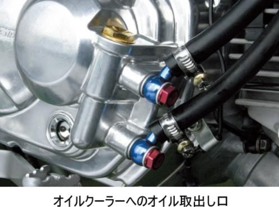 Close-up of a motorcycle oil system with various components and hoses.