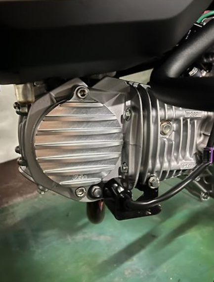 Close-up of a motorcycle engine cover with visible branding on a green surface.