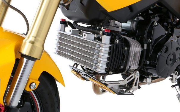 Close-up of a motorcycle engine and suspension on a white background