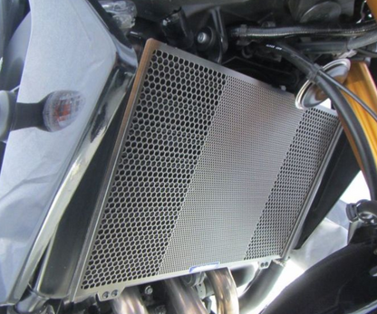 Motorcycle radiator guard with perforated design on a motorcycle