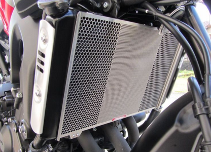 Motorcycle radiator cover with honeycomb design on a motorcycle