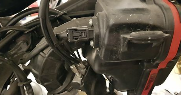 Close-up of a motorcycle's engine and wiring harness