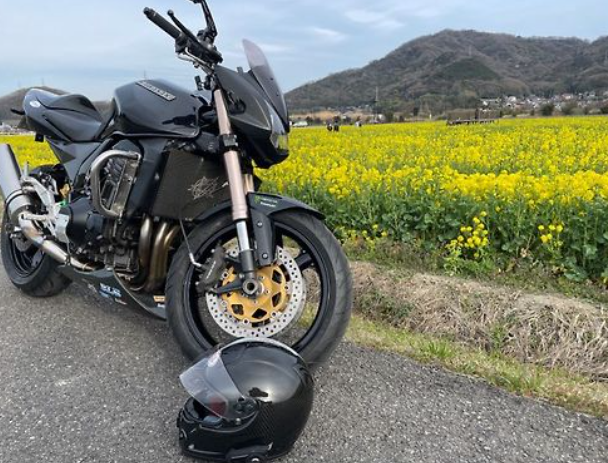 Motorcycle parked on a road with a helmet on the ground, yellow flowers, and mountains in the background