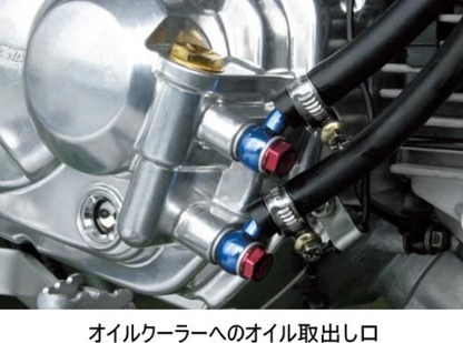 Close-up of a motorcycle oil system with various components and hoses.