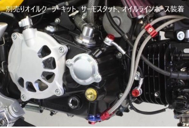 Close-up of a motorcycle engine with visible components and wiring.