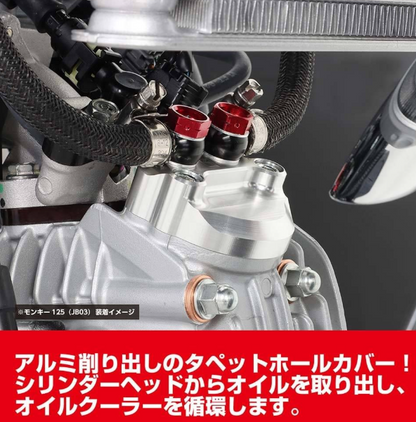 Close-up of a motorcycle engine with metallic components and red accents.