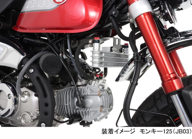 Close-up of a motorcycle engine and red suspension fork on a white background