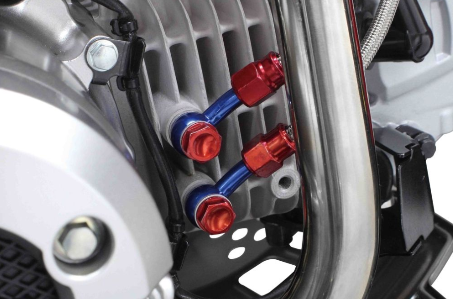Close-up of a motorcycle engine with red and blue bolts.
