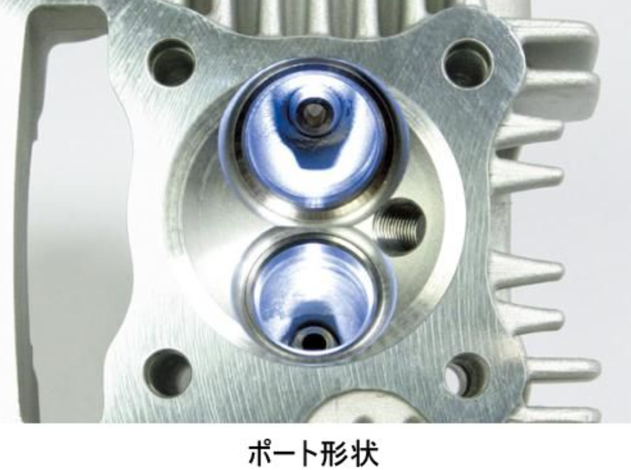 Close-up of a metallic engine part with two cylindrical ports on a white background.