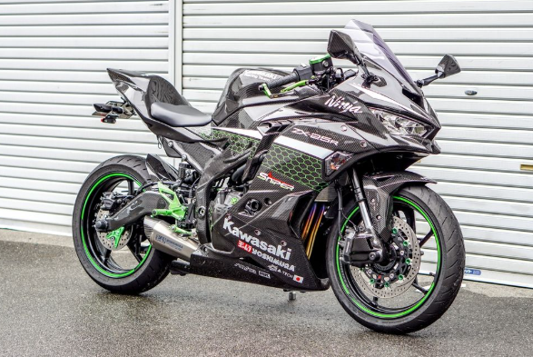 Kawasaki Ninja motorcycle parked in front of a white garage door