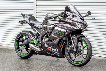 Kawasaki Ninja motorcycle parked in front of a white garage door